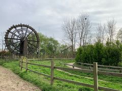 -溱湖国家湿地公园