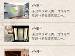 -中国茶叶博物馆(双峰馆区)