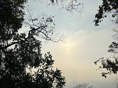 -火炉山森林公园