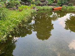-海珠湖公园