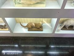 -下渚湖国家湿地公园科普馆