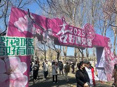 -吉林大学(南岭校区)