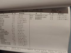 -上海天伦医院