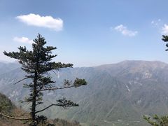 -秦岭风景区