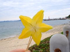 -三亚西岛海洋文化旅游区