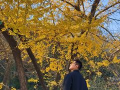 -千年银杏谷文化旅游区