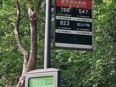 -大华梧桐墅大公馆