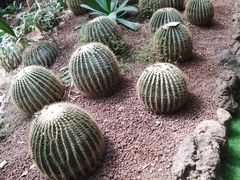 -呀路古热带植物园