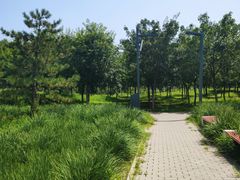 -东郊湿地公园