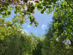 -龙洞风景区-藏龙涧