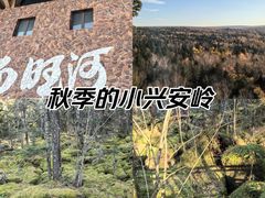 -汤旺河林海奇石景区