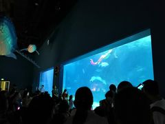-常州海昌海洋探索馆