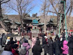 -晋祠公园