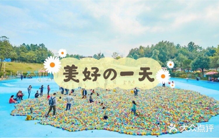 小萌娃和小萌宠的爱心集合