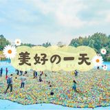 小萌娃和小萌宠的爱心集合