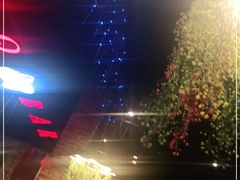 -年轮烧烤·羊蝎子·烤鱼(星湖街店)