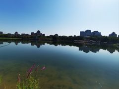 -莲花池公园