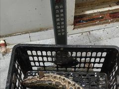 -黑河坝泡姜鸡贡椒鱼(贾旗路店)