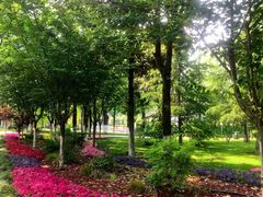 -莲湖公园