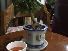 -鸡鸣汤包(广东路店)