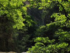 -牛背梁国家森林公园