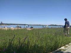 -武清南湖绿博园