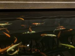 -龙悦湾酒家·八阵鱼生·渔人码头店