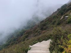 -白草畔自然风景区