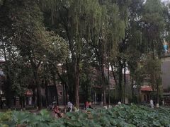 -四川大学(望江校区)