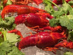 -盛宴标帜餐厅·亲子自助 (南昌喜来登酒店)