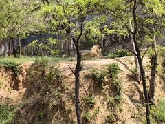 -石家庄市动物园