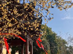 -宝通禅寺