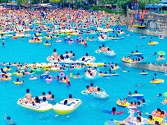 -重庆海昌加勒比海水世界