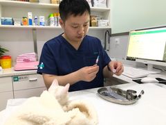 -佳雯宠物医院(金华南路分院)