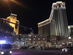 -拉斯维加斯永利酒店