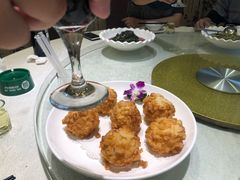 -丁老爷子苏香圆