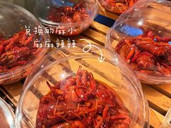 -松雷商业(南岗店)