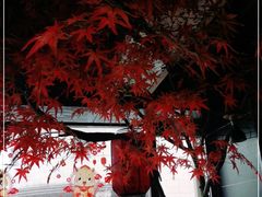 -要德火锅(鼓楼店)