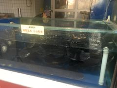 -深巷家味馆.湖北头牌红烧鱼头拌饭(黄陂店)