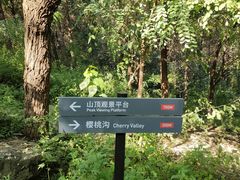 -北京植物园南门售票处