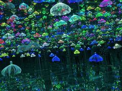 -郑州梵高星空错觉艺术馆(大上海城旗舰店)