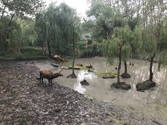 -溱湖国家湿地公园