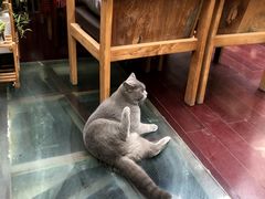 -OX BAR 拉培耶小镇(大连老街店)