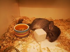 -龙猫仔乐园(惠福东路店)