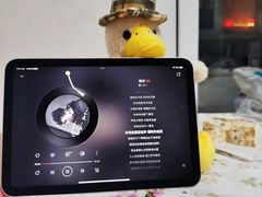 -Apple零售店(中街大悦城店)