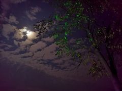 -梁子湖东篱老屋生态庄园