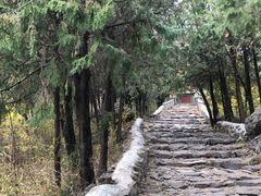 -阳台山自然风景区