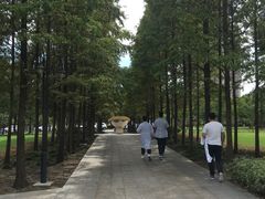 -上海市第一人民医院(松江南部)