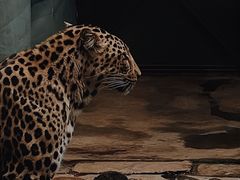 -昆明动物园