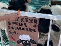 -水上乐园·欢乐世界